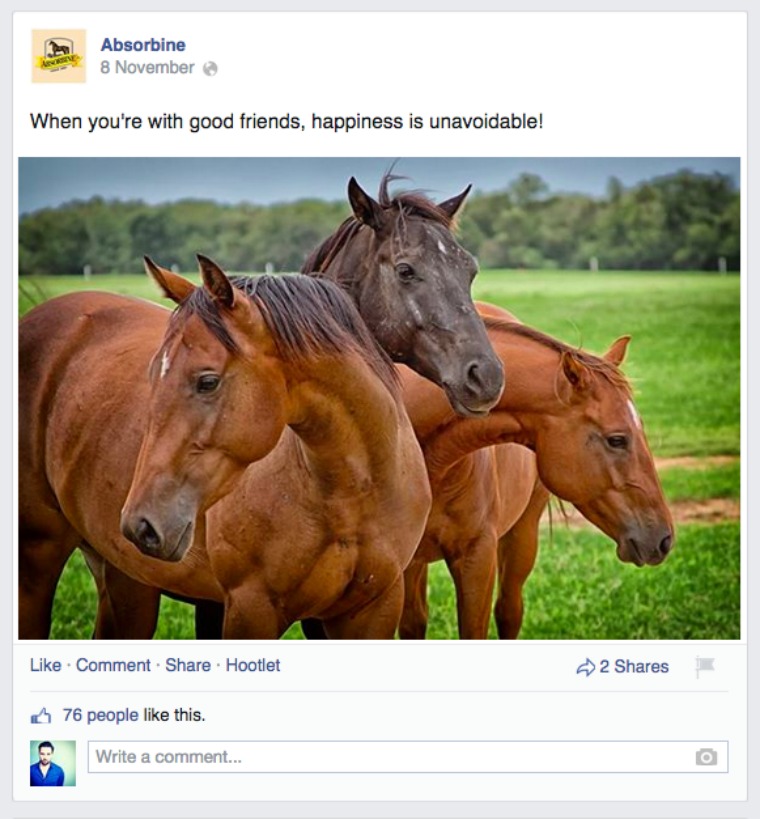 absorbine horses fb