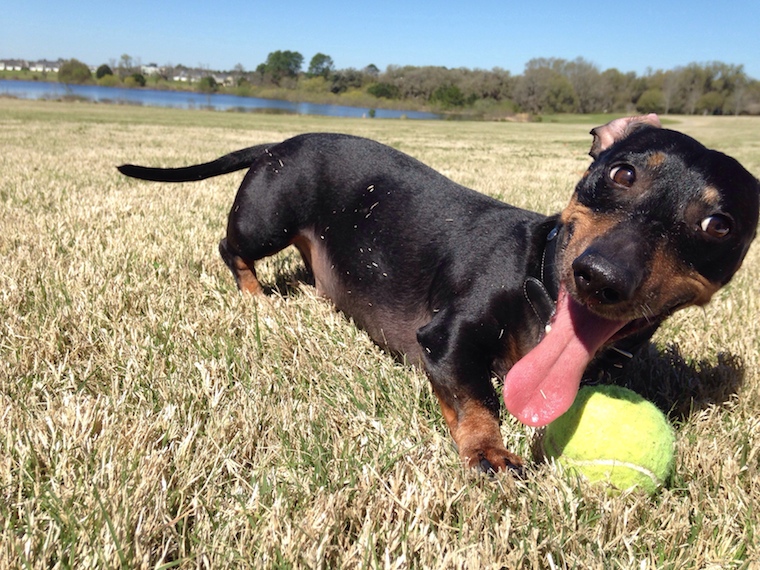 Foap-Beckham_loves_fetching