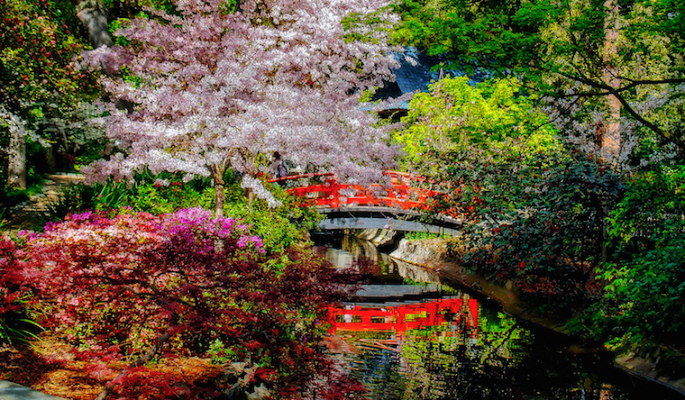 Japanese Garden