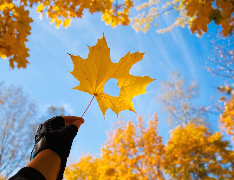 Foap-from_autumn_with_love_autumn_forest_sky_golden_warm