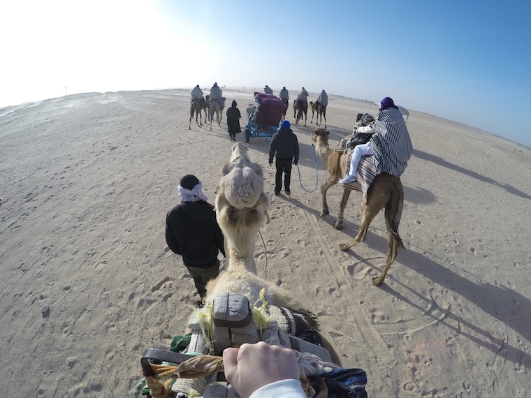 Camel ride