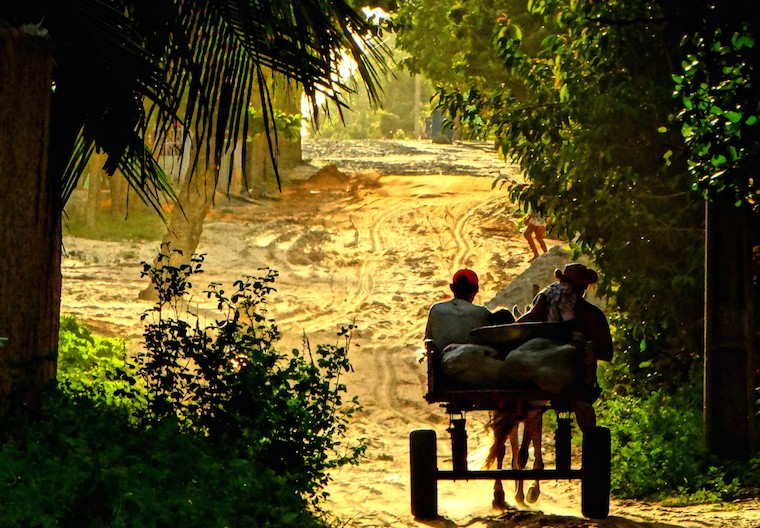 Rural living in Brazil