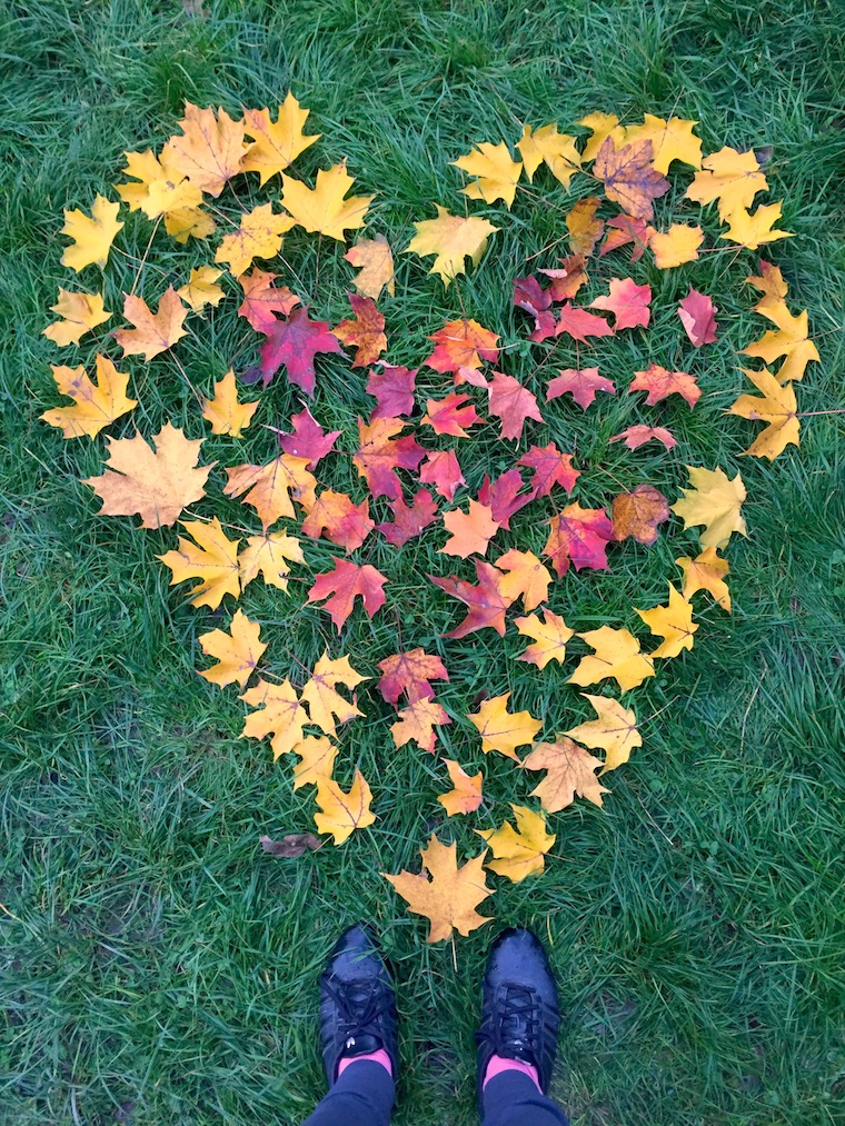 Fall heart leafs