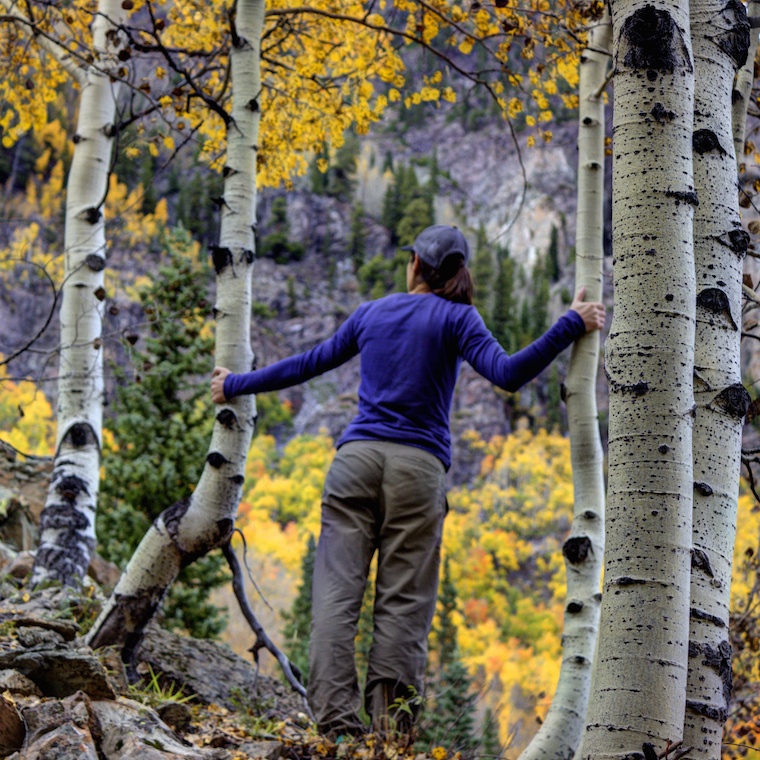 Fall Exploring