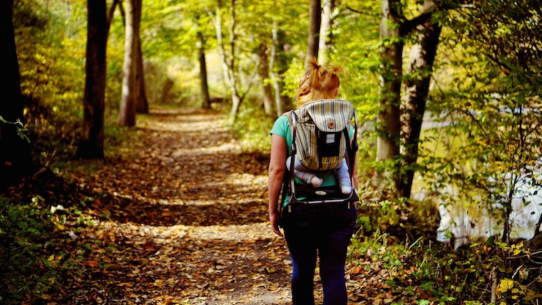 Fall Hiking