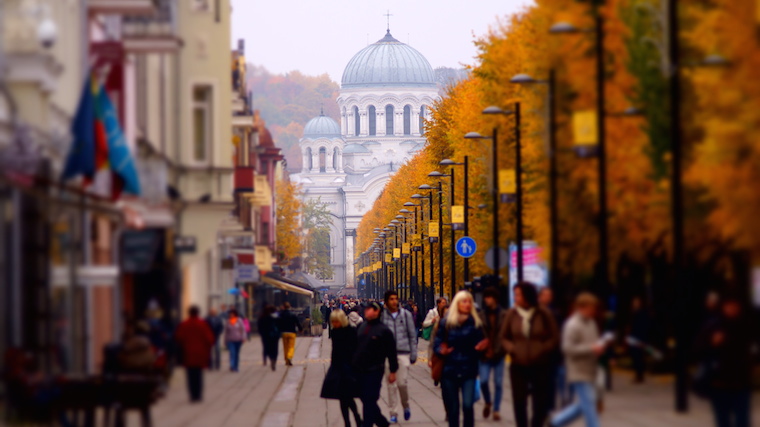 Fall in Kaunas city