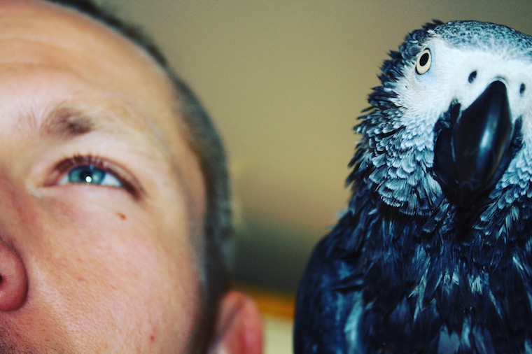 Man and parrot